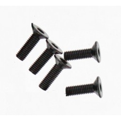 TORNILLO 3X10 MM CABEZA PLANA (5) - BS502-027