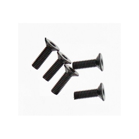 TORNILLO 3X10 MM CABEZA PLANA (5) - BS502-027