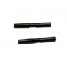 Pin B posterior - 06019